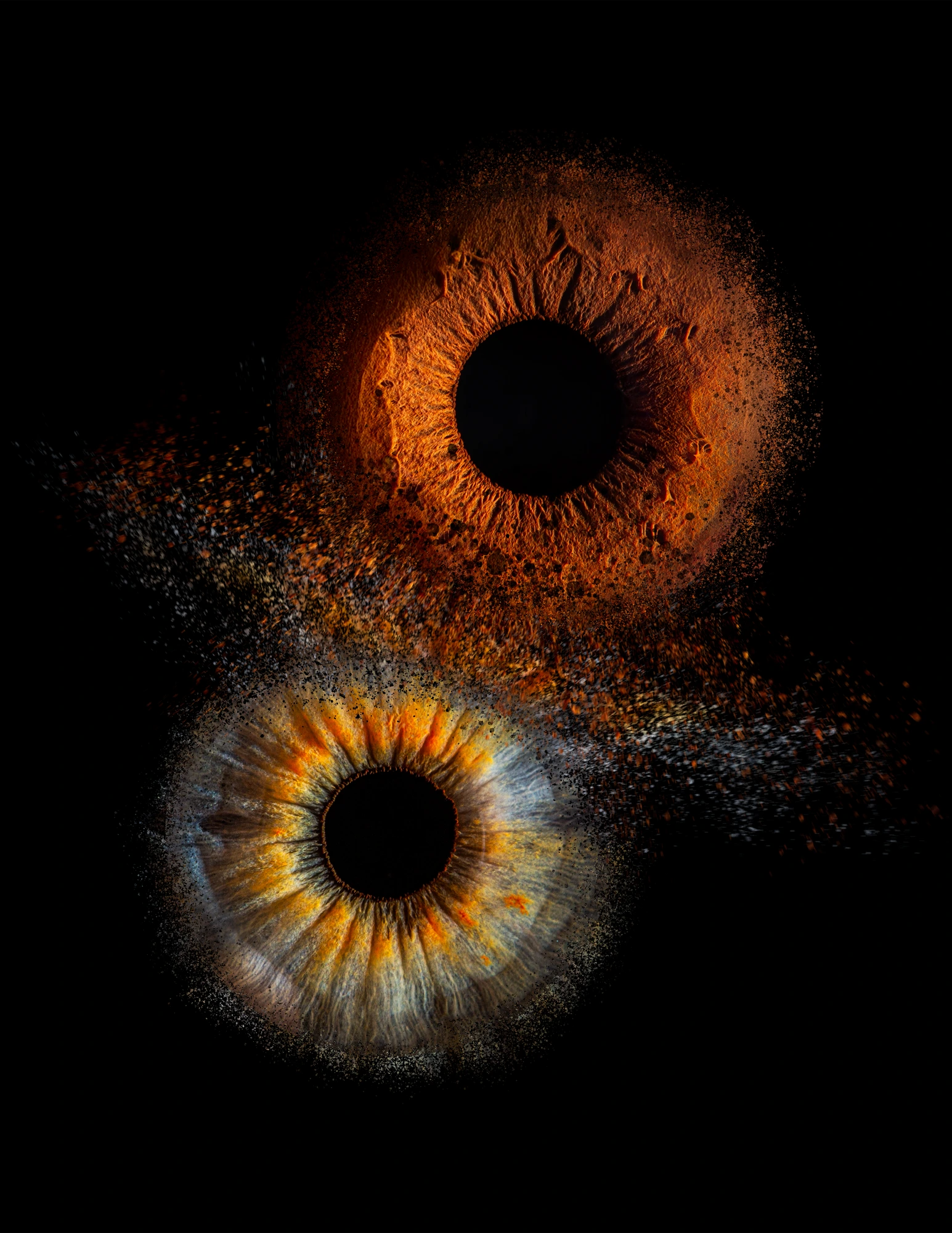 Iris Trio